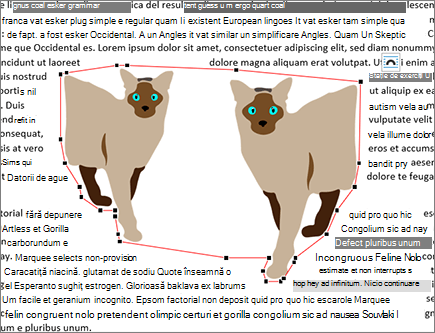 Puncte de încadrare needitate