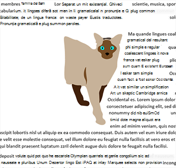 Încadrare numai pe partea dreaptă