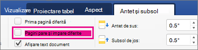 Pagini pare și impare diferite este evidențiat pe fila Anteturi & subsoluri