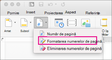 Pentru a formata numere de pagină, faceți clic pe Număr de pagină pe fila Antet & Subsol, apoi faceți clic pe Formatare numere de pagină.