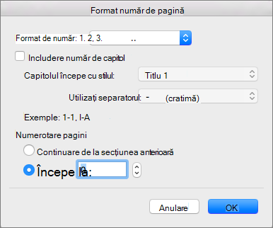 Selectați stilul de numerotare și numărul de început în Format număr de pagină.