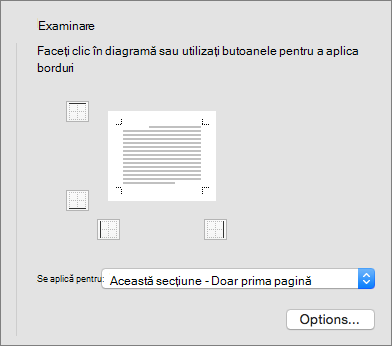 Se afișează caseta Previzualizare din caseta de dialog Borduri și umbrire