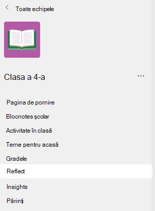 Captură de ecran a meniului Refelct.