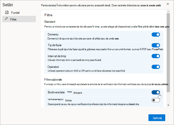 Captură de ecran a unui filtru particularizat, așa cum apare în setarea de filtre după ce a fost creat. Poate fi activat și dezactivat.