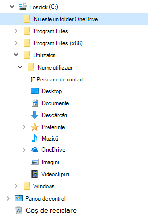 Vizualizarea Explorer