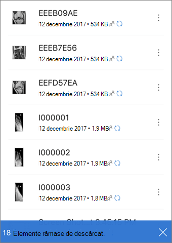 Text UI care indică fișierele în așteptarea descărcării