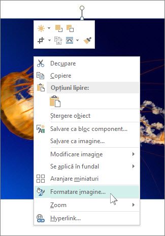 Captură de ecran cu opțiunile Formatare imagine din Publisher.