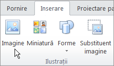 Selecting Picture on the Insert tab