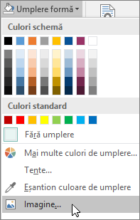 Captură de ecran cu opțiunea de Umplere cu imagine din Umplere formă, de la fila Formatare în Publisher.
