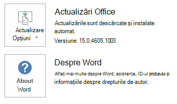 Captură de ecran pentru Word Click To Run