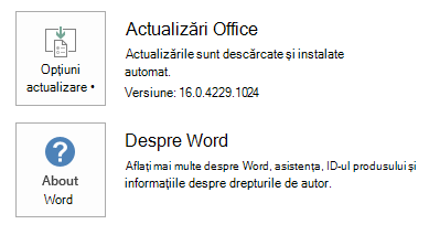 Captura de ecran pentru Word Clic și Pornire
