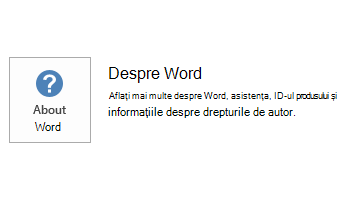 Captură de ecran pentru Word MSI