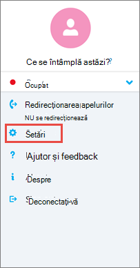 Ecranul Opțiuni din Skype for Business pentru Android