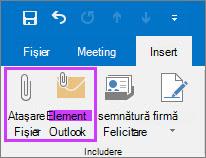 Pe fila Fișier, faceți clic pe Atașare fișier sau element de e-mail