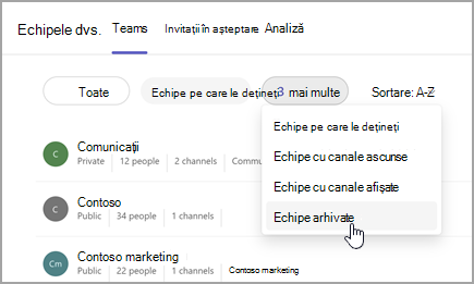 Captură de ecran a paginii Echipele dvs., cu opțiunea de a vizualiza echipele arhivate. Selectați meniul vertical de lângă Echipe pe care le dețineți pentru a selecta Echipe arhivate.