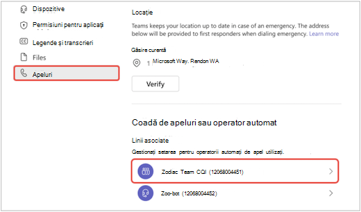 un ecran în Teams din meniul Setări