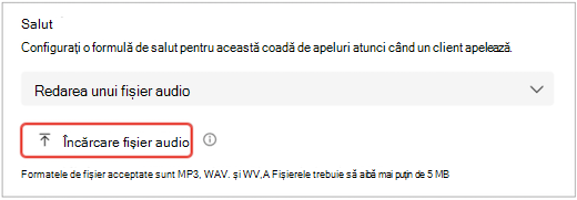 un ecran cu interfața cu utilizatorul Teams afișând setările