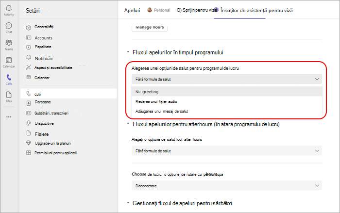 Captură de ecran afișând meniul de opțiuni de salut pentru programul de lucru