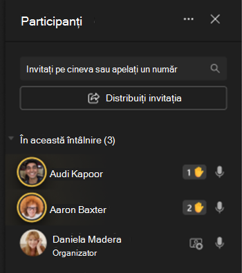 Imagine care afișează participanții în partea stângă a ecranului cu pictogramele de ridicare a mâinii.