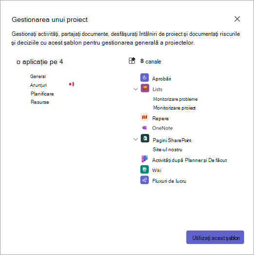 Captură de ecran afișând detaliile șablonului de echipă