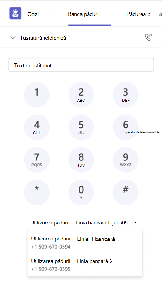 Captură de ecran afișând tastatura numerică cu opțiunile pentru apelul efectuat