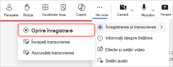 Captură de ecran care evidențiază cum să opriți înregistrarea în timpul unei reuniuni generale