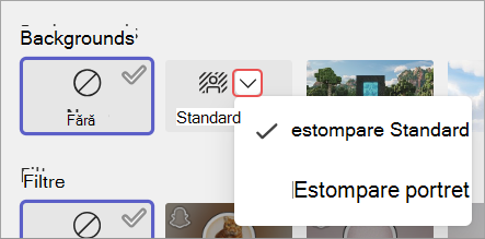 Captură de ecran evidențiind opțiunile de estompare a fundalului din ecranul de pre-asociere la întâlnire.