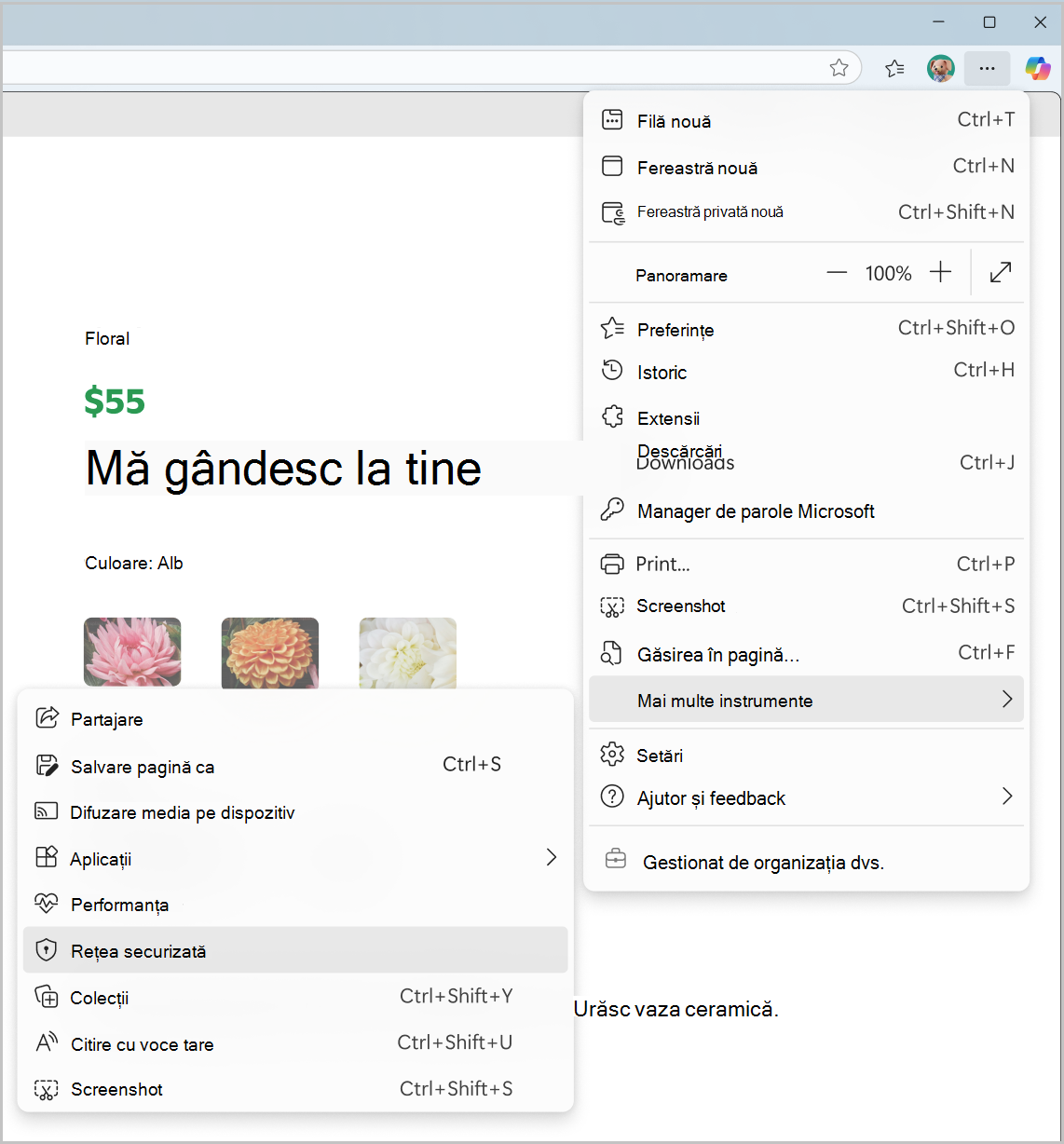 Captură de ecran cu Secure Network din meniul Setări și altele