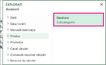Butonul Detaliere din caseta Explorare