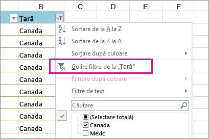 Golire filtru din buton