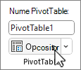 PivotTable Options button