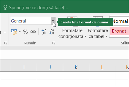 Number Format list box