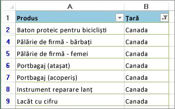 Filtrele au fost aplicate