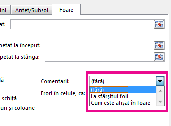 Pe fila Foaie, alegeți o opțiune sub Comentarii