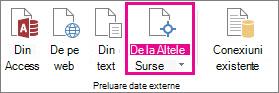 Butonul Din alte surse de pe fila Date