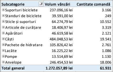 PivotTable afișând elementele pe care le-ați detaliat