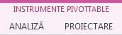 Instrumente PivotTable