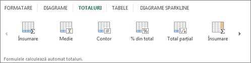 Galeria Totaluri din Analiză rapidă