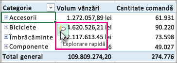 Buton Explorare rapidă