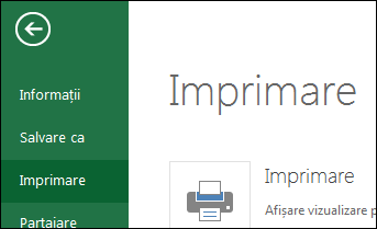 Imprimarea celulelor selectate
