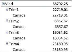 PivotTable în formă compactă