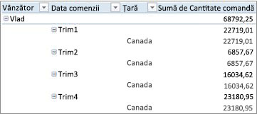 PivotTable sub formă de schiță