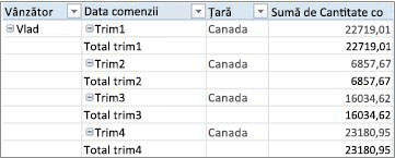 PivotTable sub formă de tabel