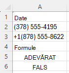 Utilizarea funcției REGEXTEST pentru a verifica dacă numerele de telefon sunt într-o anumită sintaxă, cu modelul ^\([0-9]{3}\) [0-9]{3}-[0-9]{4}$