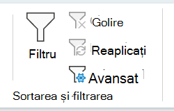 Captură de ecran a secțiunii Sortare și filtrare din fila Date