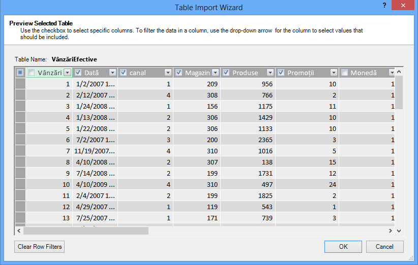 Panoul Preview în Table import Wizard