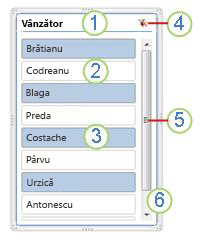 Captură de ecran a elementelor slicerului PivotTable.