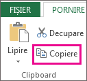 Comanda Copiere în grupul Clipboard