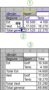Exemplu de modificare a aspectului unui raport PivotTable