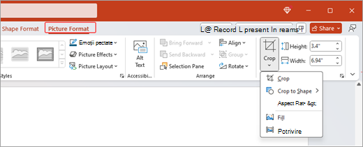 Captura de ecran afișează opțiunile de Formatare imagine de pe panglică și caracteristica Trunchiere deschisă în Microsoft PowerPoint.